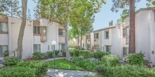 Country Woods Apartment Homes Gallery 1