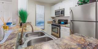 Lexington Palms at the Forum Gallery 8