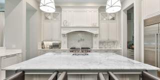 Davis Island Executive Home Gallery 15