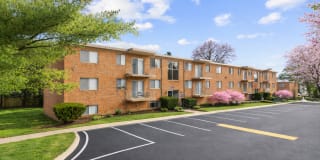 International Apartments Gallery 1