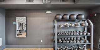 Anthem on Ashley Gallery 21