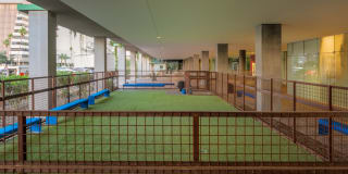 Optima Sonoran Village Gallery 11