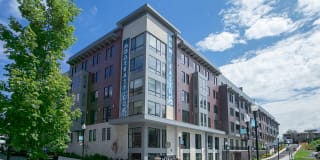 Modera 55 Gallery 35