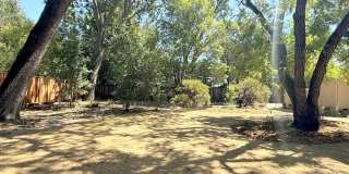 Remodeled one story home in highly desirable Alamo with huge park like yard ! Remodeled one story home in highly desirable Alamo with huge park like yard ! Gallery 36