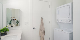 River House Apartments Gallery 6