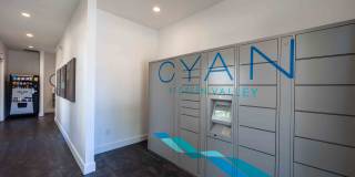 Cyan at Green Valley Gallery 42