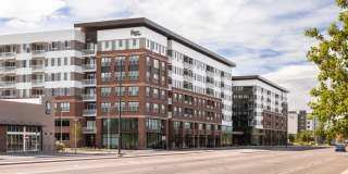 Fellow at Fitz Gallery 45