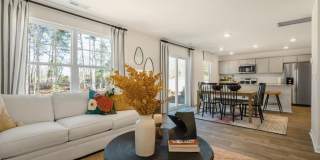 230 Palm Drive Gallery 3