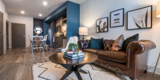 One 305 Central Gallery 8