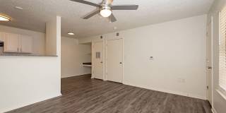 Sentinel of Conway Gallery 7