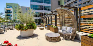 Vive on the Park Gallery 33