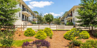 The Motif by Morningside Gallery 21