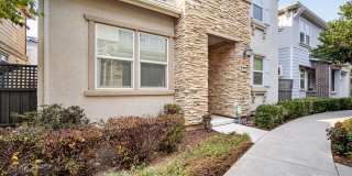 2823 Alliston Loop Gallery 1