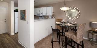 Atlantic Palms Gallery 14