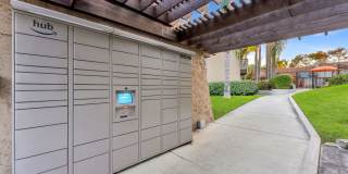 Shadow Ridge Gallery 21