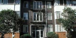 1786S Gallery 4