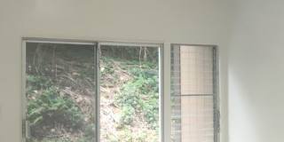 Beautiful 4 bed/ 2 bath/ 2 parking In Kaneohe Gallery 1