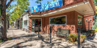 1313 North Williams St Unit 501 Gallery 44