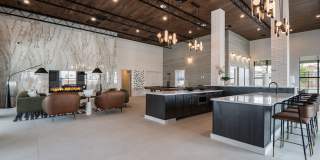 Allaso Olivine Gallery 19