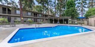 Saddleback Pines Gallery 11
