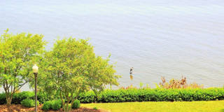 485 HARBOR SIDE Street Gallery 45