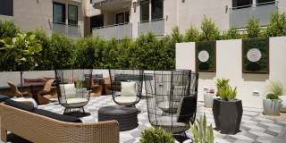 Belle on Bev Belle on Bev Gallery 34