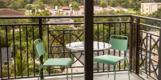 Palmetto Promenade Gallery 20