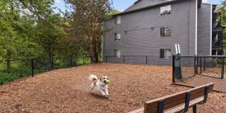 Cedar Crest Gallery 23