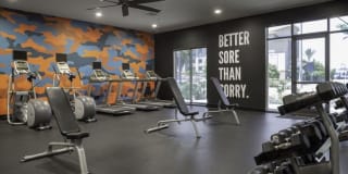 Palomar Station Gallery 25