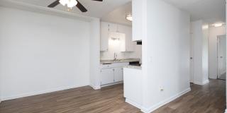 Volterra at La Mesa Gallery 34