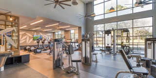 Cortland Oleander Gallery 49