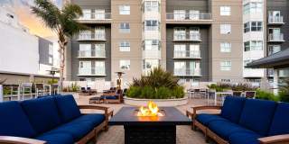 SOMA at 788 Gallery 20