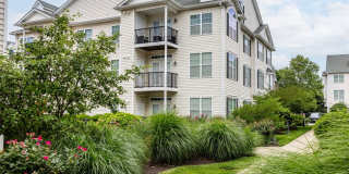 Avalon Garden City Gallery 48