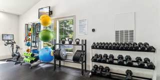 Varia at Oakcrest Gallery 21