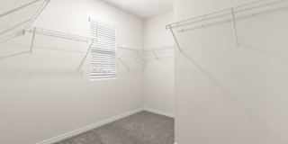 31470 Penny Surf Loop Gallery 10