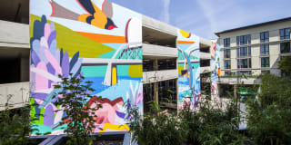 Mercato Grove Gallery 37