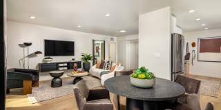 Dolphin Marina Gallery 6