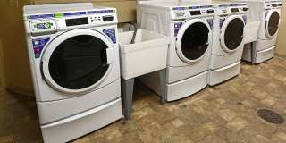 Palisades Gallery 31