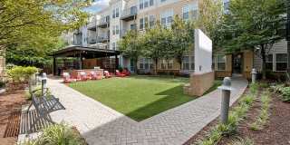 The Shelby - Alexandria Gallery 9