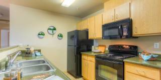 Seasons at Lea Hill Gallery 16