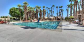 38061 Crocus Lane Gallery 42