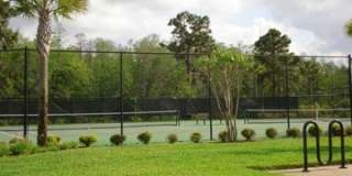Beautiful Townhome in Lake Nona Gallery 34