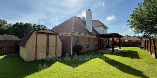 3066 Shadow Green Gallery 20
