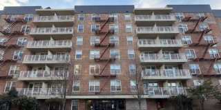 68-20 Selfridge Street unit: 3L Gallery 1