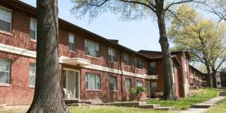 The View on Vivion Gallery 19