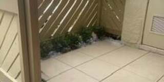 12949 Pennypacker Trail Gallery 27