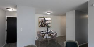 Timber at JZ Living Gallery 12