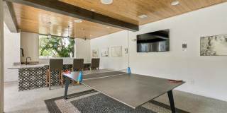 The Jaxon Gallery 20