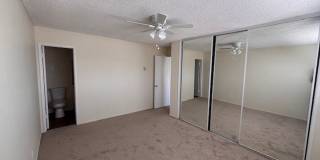 Royal Pacific Gallery 10