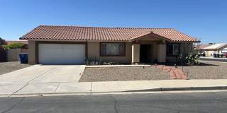 Ocotillo Desert Gallery 1